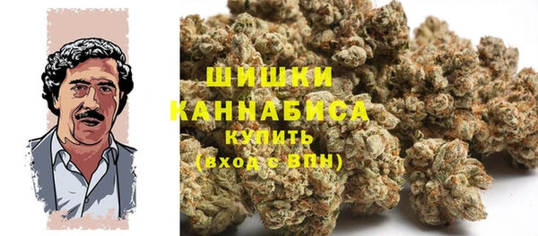 mix Богородск