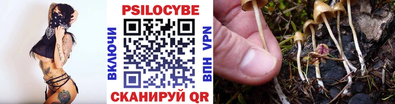 Галлюциногенные грибы Psilocybe Полтавская