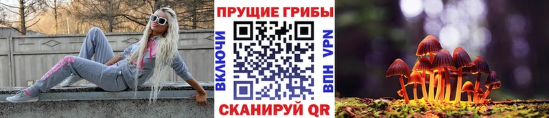Галлюциногенные грибы Cubensis  Полтавская 